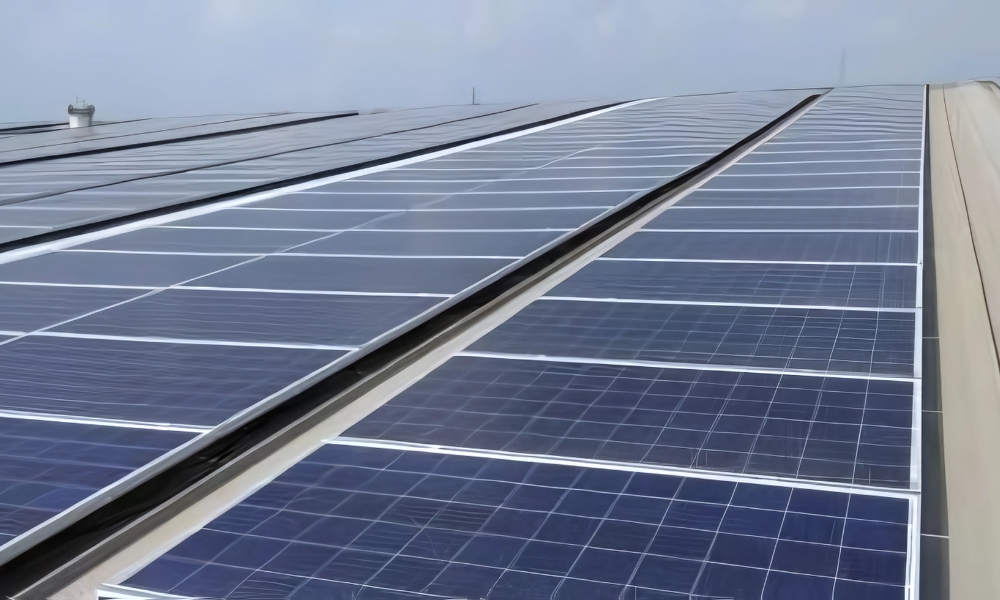 75 MW
